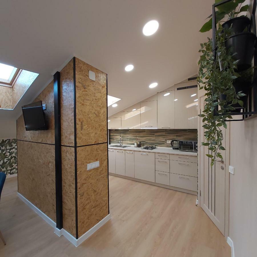 Two-Bedroom Apartment Near Forum ลวีฟ ภายนอก รูปภาพ